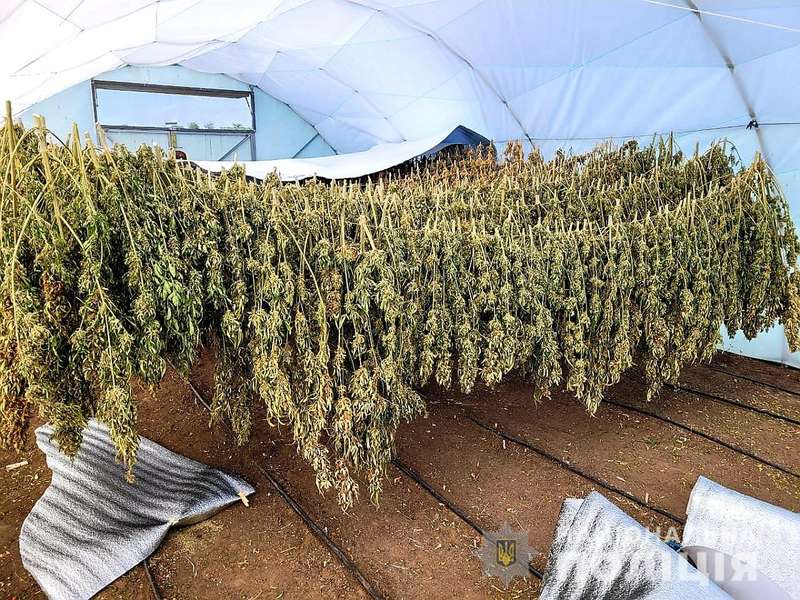       « »  11   (, ) - 1 -  dqxikeidqxitkant