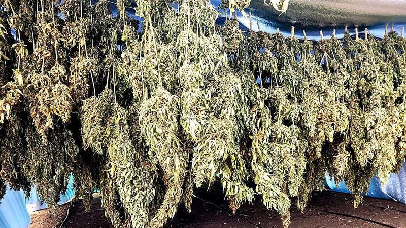       « »  11   (, ) - 7 - 