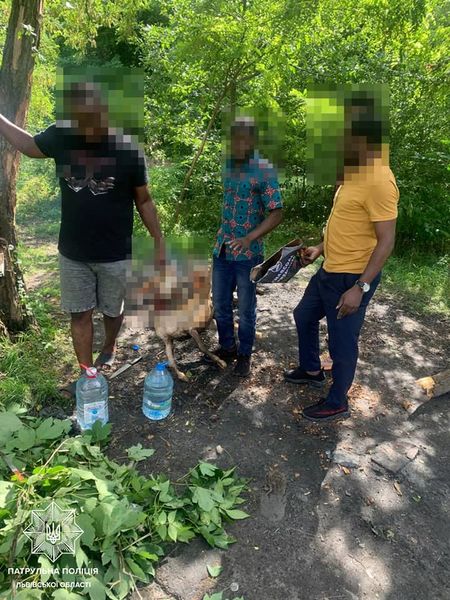 Иностранцы зарезали и зажарили козу во львовском парке 02 dqxikeidqxiqqeant