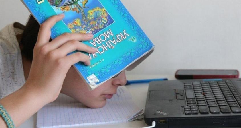 Придется учиться удаленно dqxikeidqxitkant