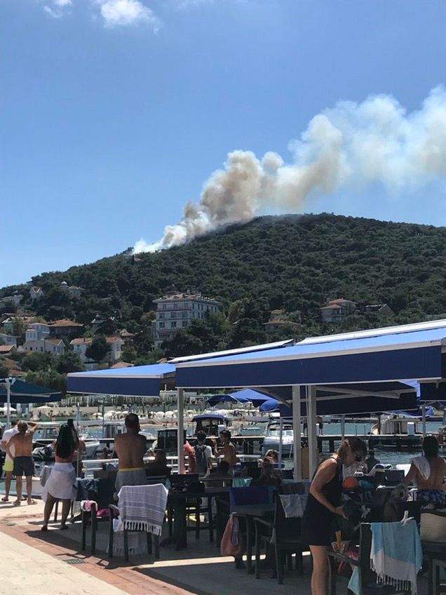 Пожежа на острові біля Стамбула dqxikeidqxitkant