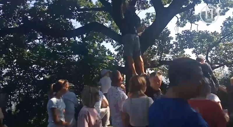 Люди залазят на деревья, чтобы увидеть парад dqxikeidqxitkant