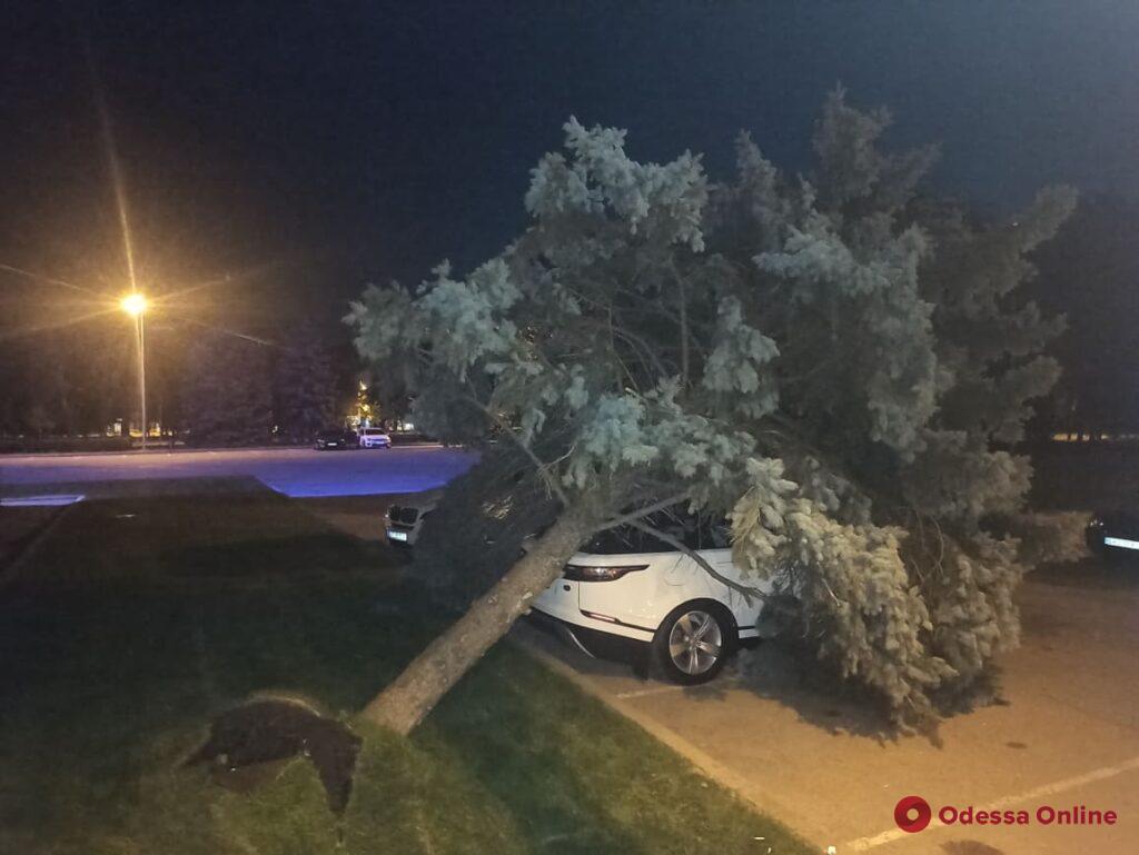 Возле Одесской ОГА голубая ель рухнула на внедорожник dqxikeidqxiqqeant