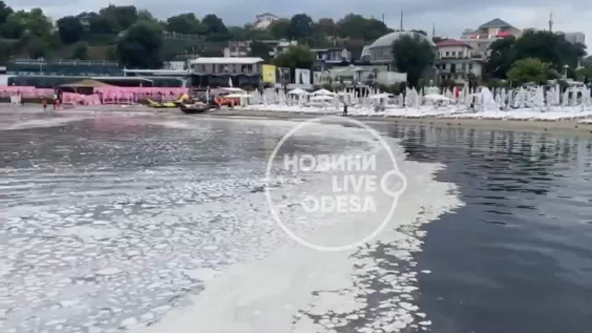 Море в Одессе покрылось белой вонючей пленкой dqxikeidqxiqqeant