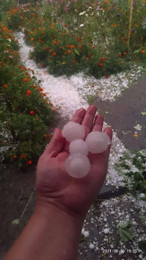 Град выпал в Белоцерковском районе Киевщины. dqxikeidqxitkant