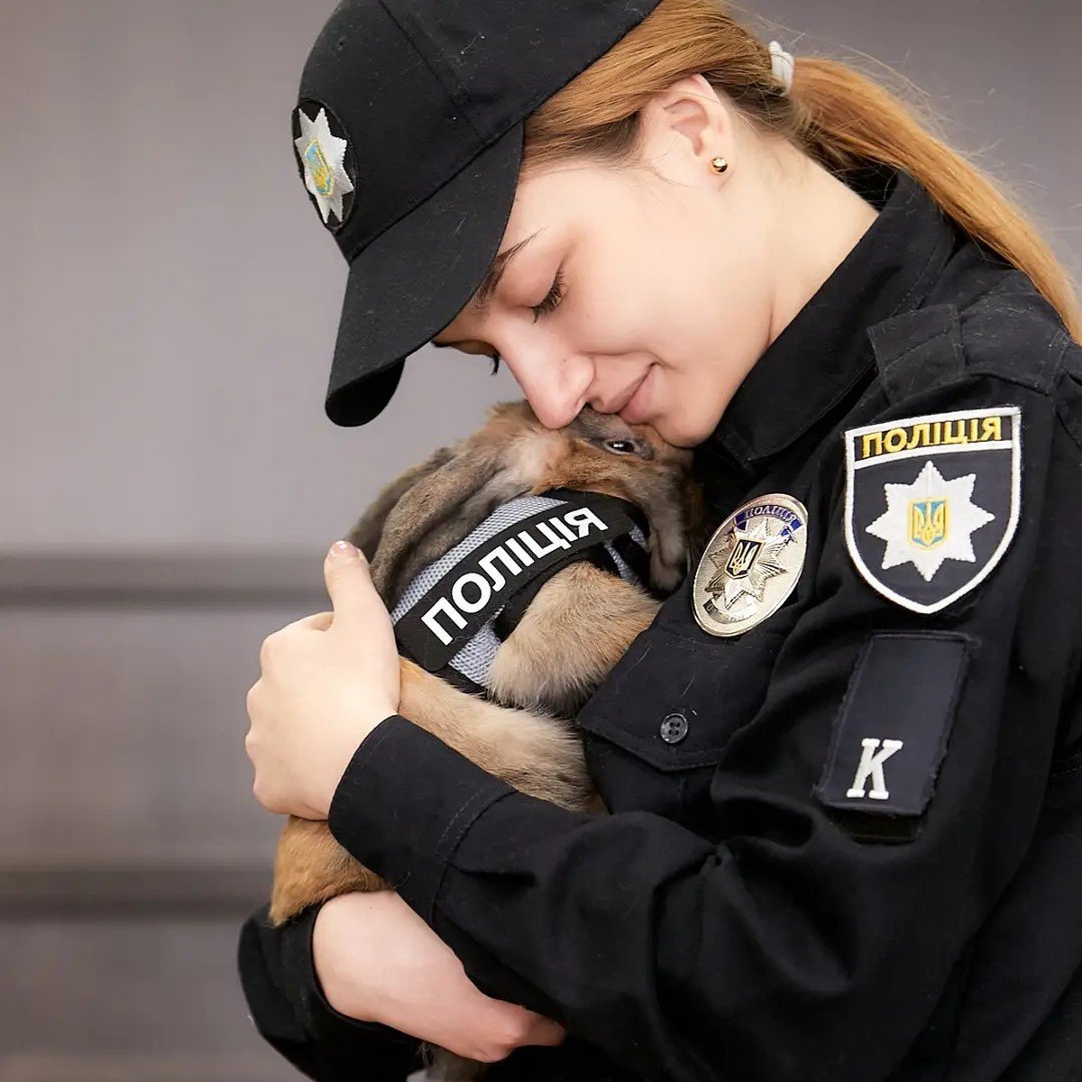 Днепровский кролик-полицейский устроился на работу - фото, видео - фото 1 dqxikeidqxiqqeant
