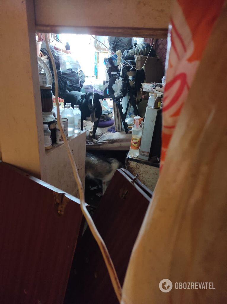 Животных забрали.