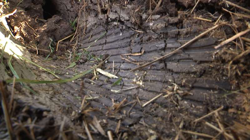 В земле четко видно желобки, оставленные ребристой поверхностью артснаряда dqxikeidqxitkant