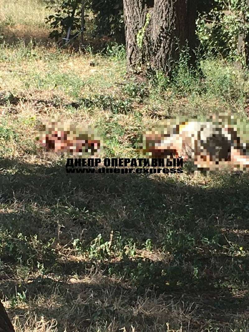 Мужчину буквально разорвало на части.