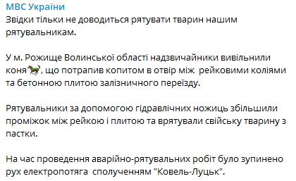 Спасатели помогли коню. Скриншот из телеграм-канала МВД dqxikeidqxitkant