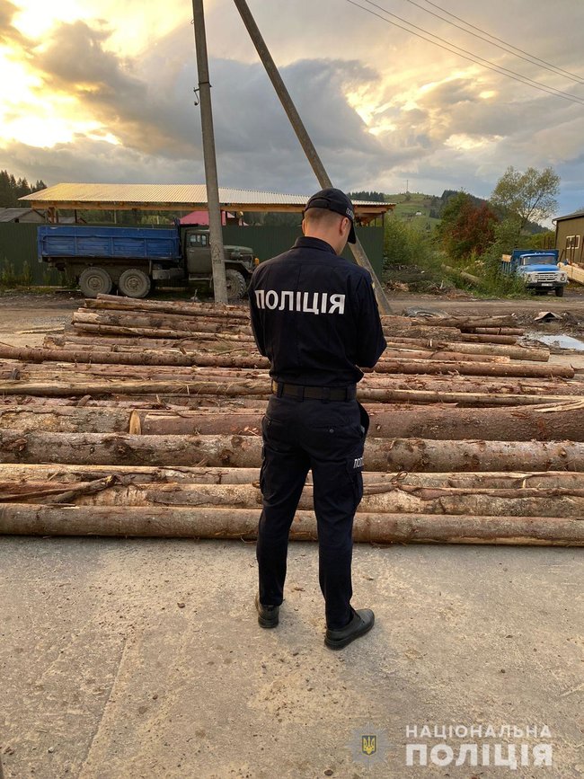 Полицейские разоблачили кражу древесины на Буковине 01 dqxikeidqxiqqeant