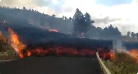   -       dqxikeidqxiqqeant