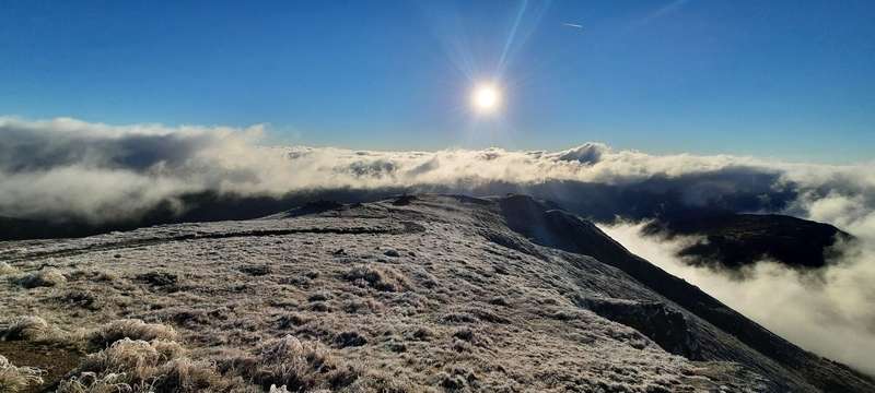   -6 . dqxikeidqxiqqeant