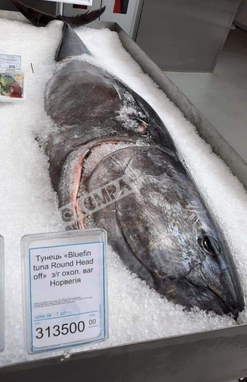  300     dqxikeidqxiqqeant