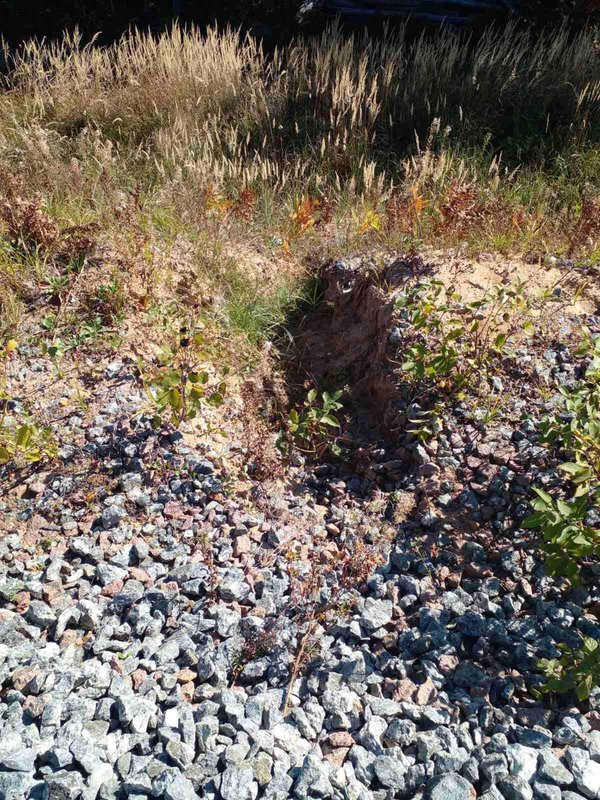 .jpg dqxikeidqxitkant