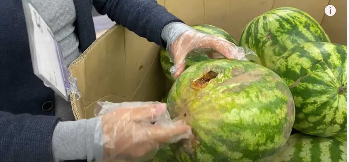 В супермаркете продают испорченные арбузы