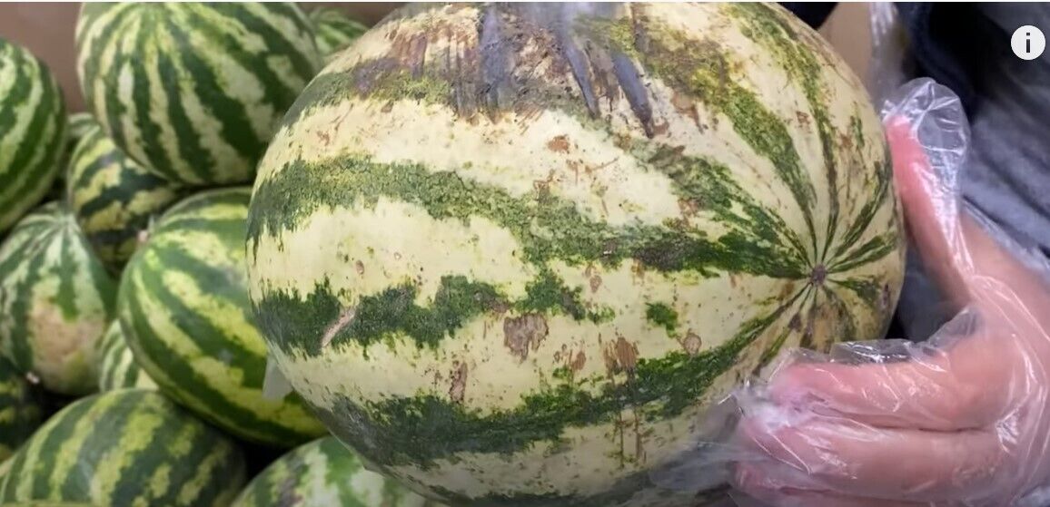 Перед тем, как покупать товар, его нужно внимательно осмотреть