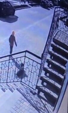 Момент нападения собак на ребенка попал на камеры наблюдения