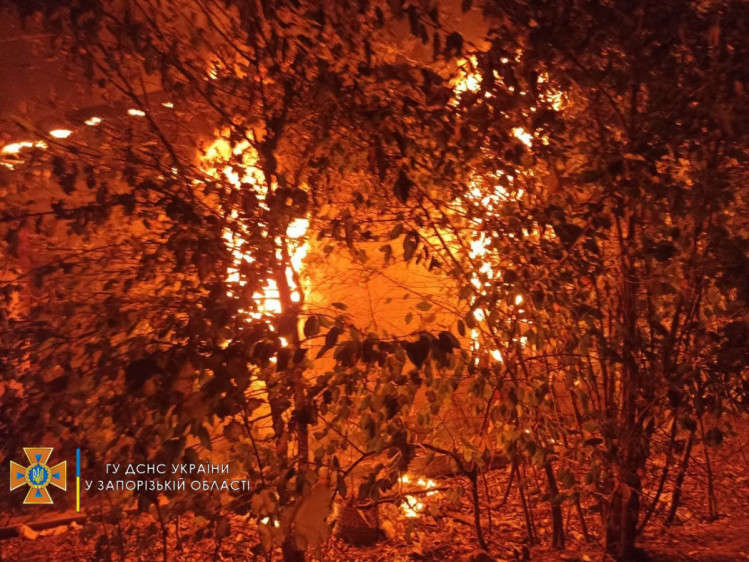 В Запорожье ночью произошла смертельная пожар dqxikeidqxiqqeant