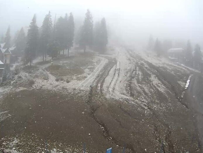 Скриншот dqxikeidqxiqqeant