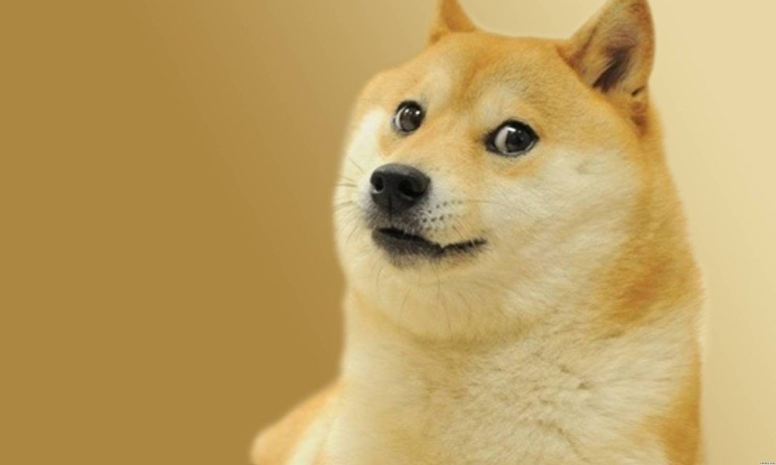  Dogecoin dqxikeidqxiqqeant