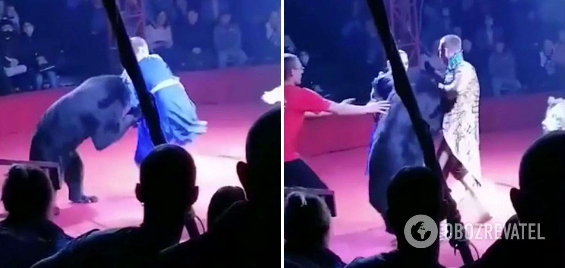 Нападение на женщину в цирке dqxikeidqxitkant