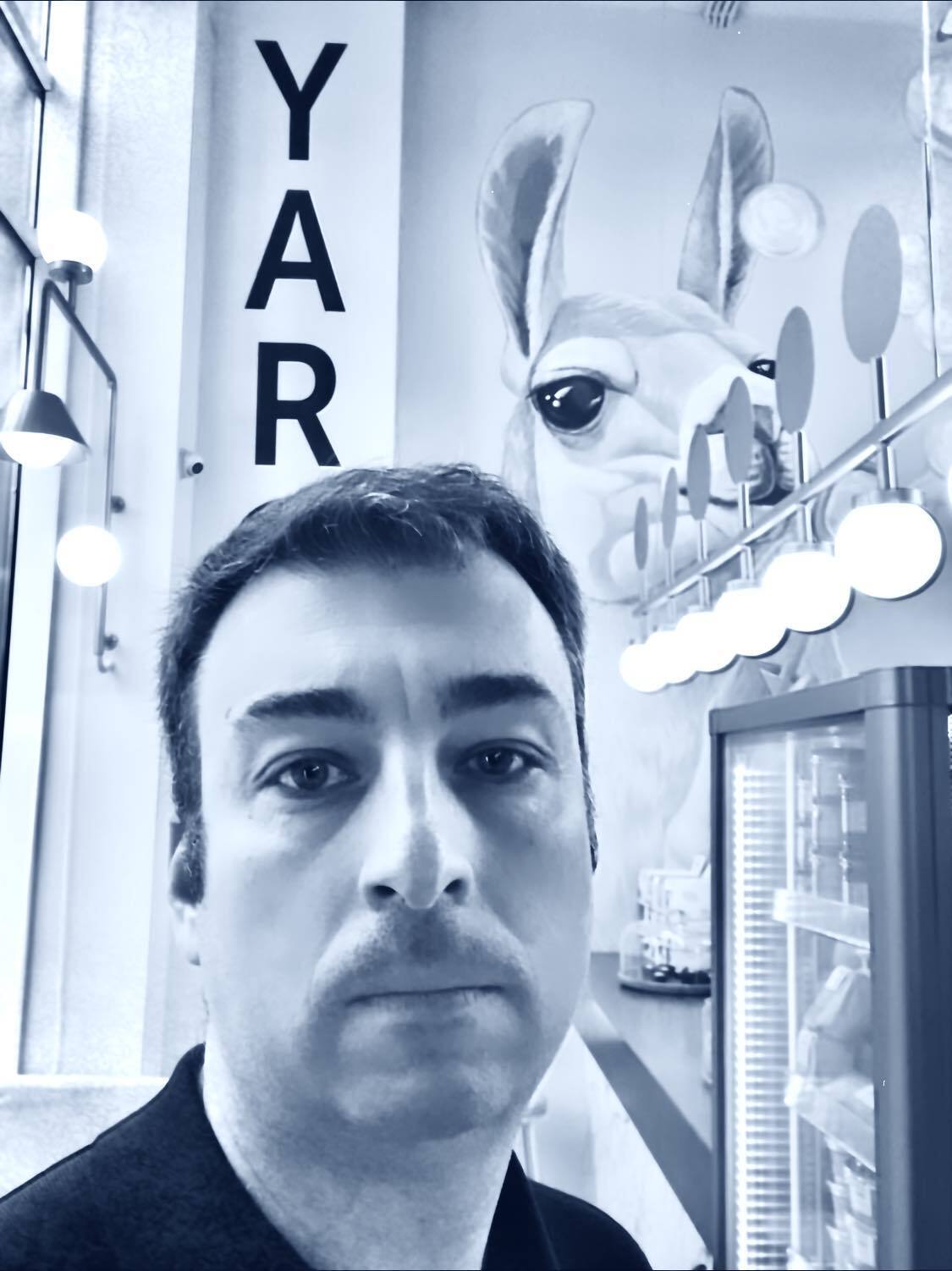   Yaro:   ,       dqxikeidqxitkant