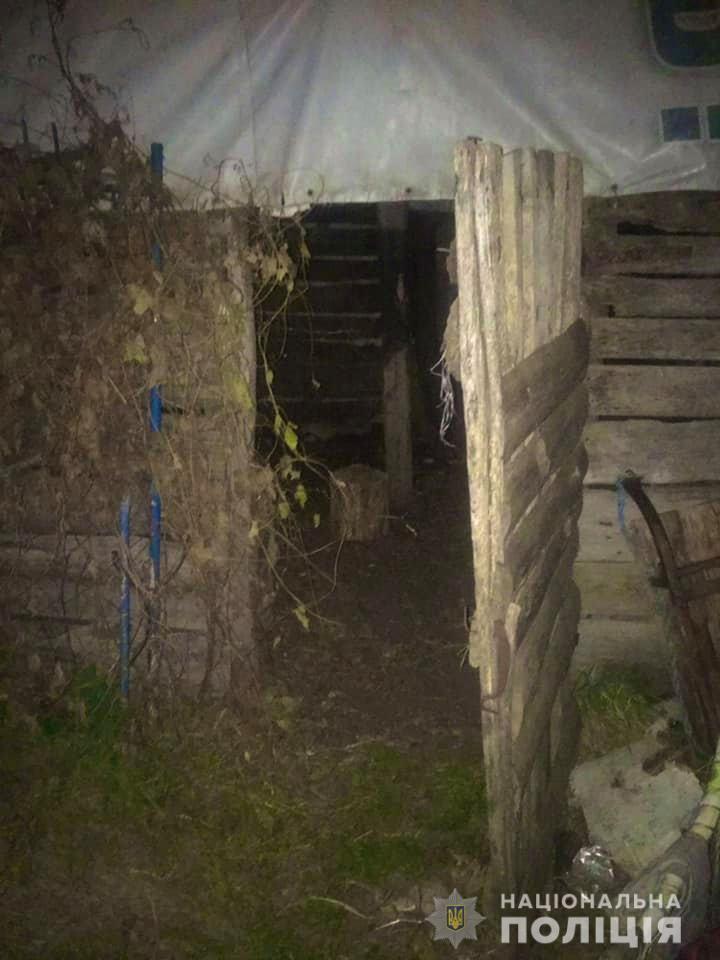 Дети играли в сарае.