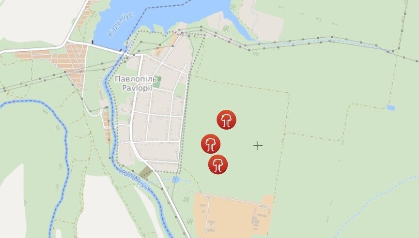 Оккупанты убили украинского воина возле Павлополя dqxikeidqxiqqeant