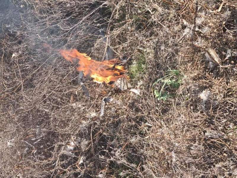       /  facebook.com/pressjfo.news dqxikeidqxitkant