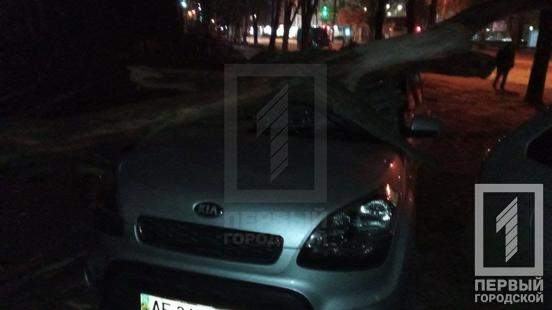 Дерево впало на автомобілі у Кривому Розі dqxikeidqxiqqeant