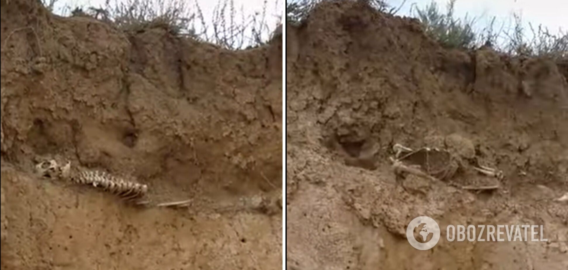 В селе Окуневка нашли скелеты dqxikeidqxiqqeant