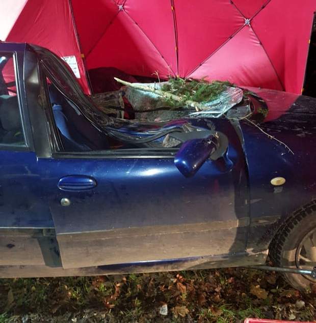 Трагедія у Польщі Трагедія у Польщі dqxikeidqxiqqeant