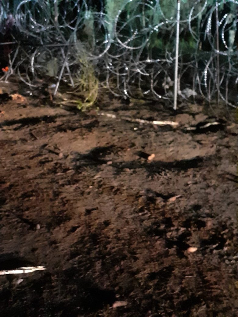 Мигранты снова предприняли попытку прорвать границу. Повреждены два наших автомобиля, - польская полиция 03