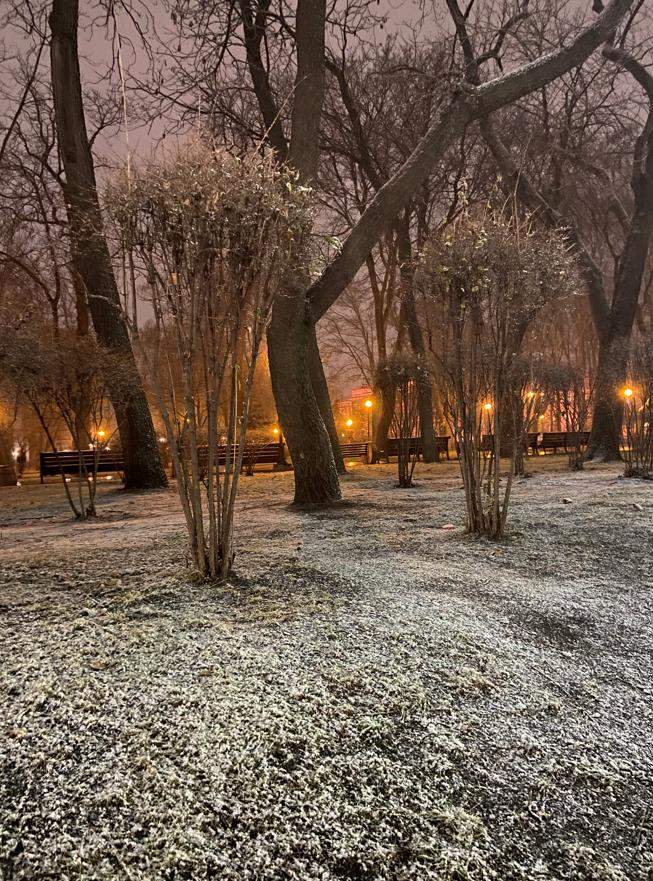 снігопад у Києві dqxikeidqxiqqeant