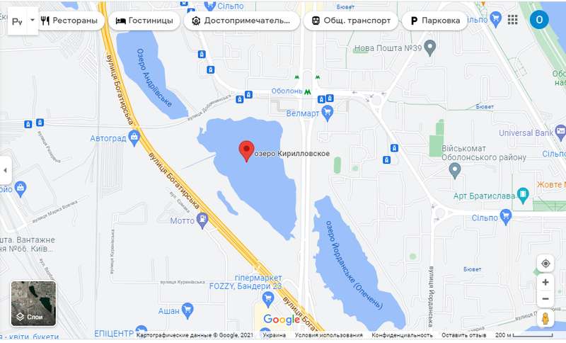 На озере появилось пятно dqxikeidqxiqqeant