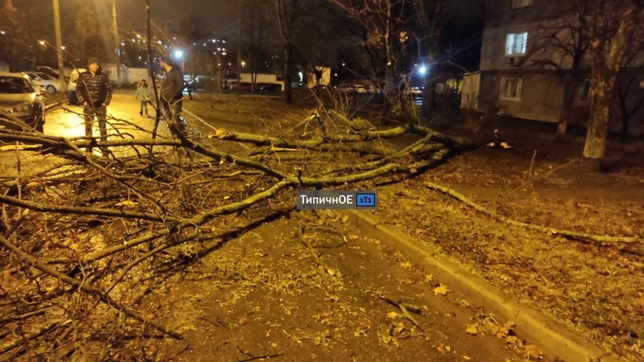 Причиной непогоды стал циклон "Бенедикт"