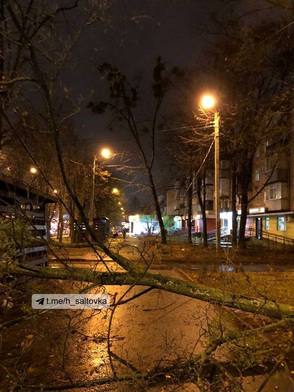 Ветер валил деревья