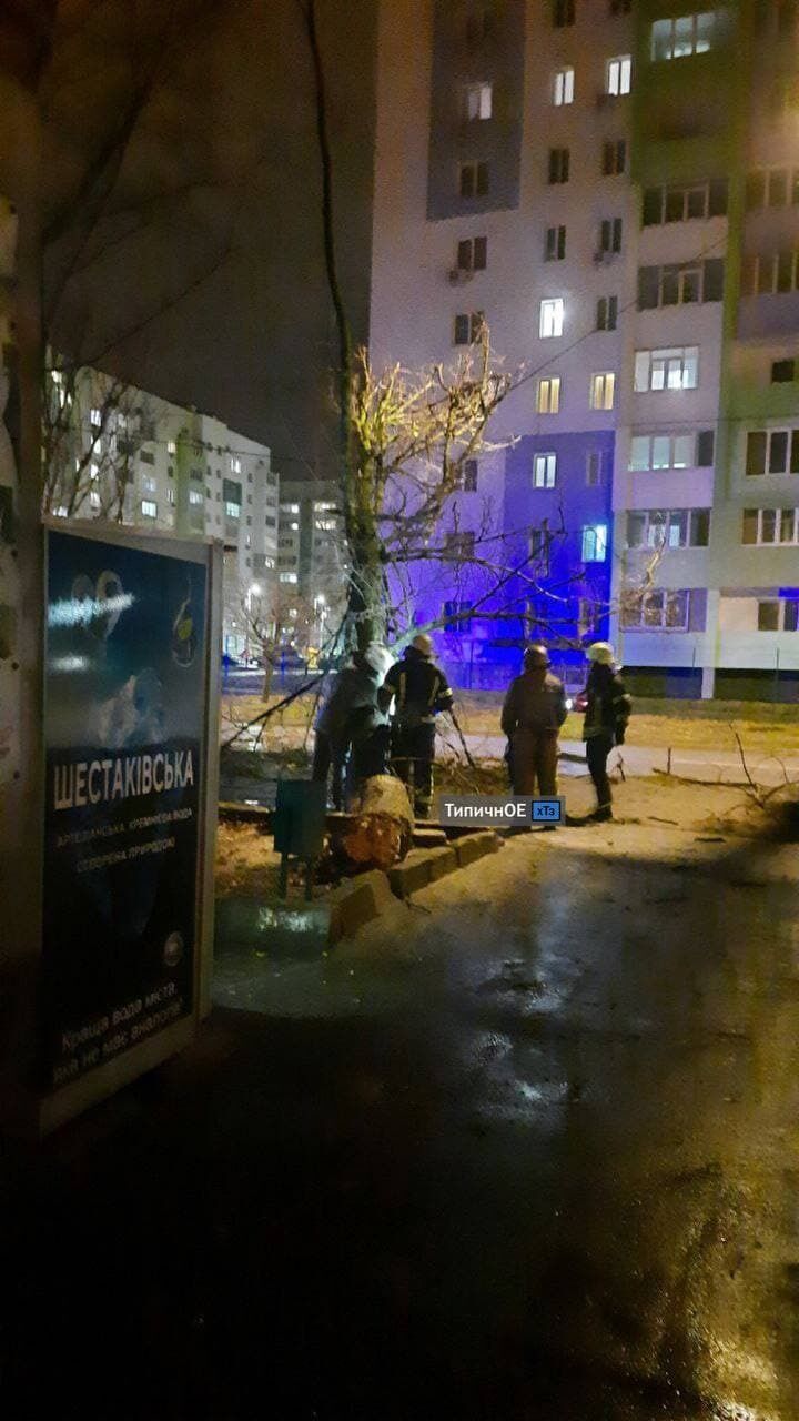 Коммунальные службы ликвидируют последствия непогоды