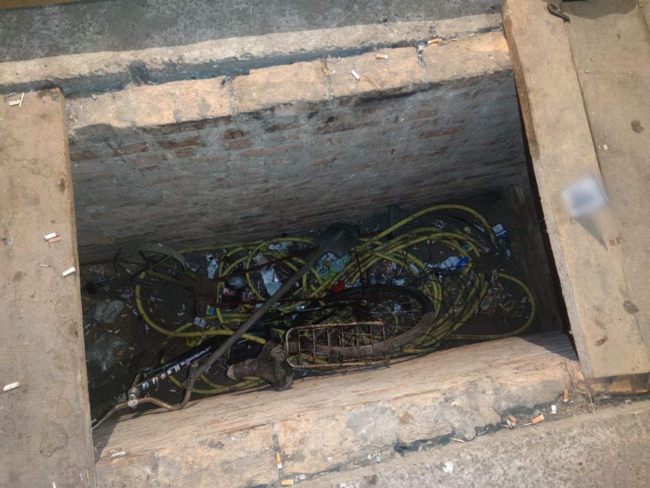 у Білій Церкві чоловіки підпалили товариша dqxikeidqxitkant