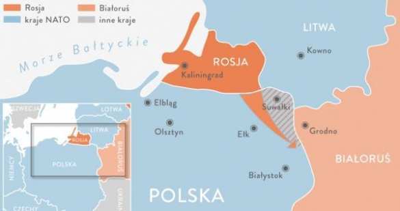 Это позволит отвлечь Североатлантический альянс во время нападения на Украину