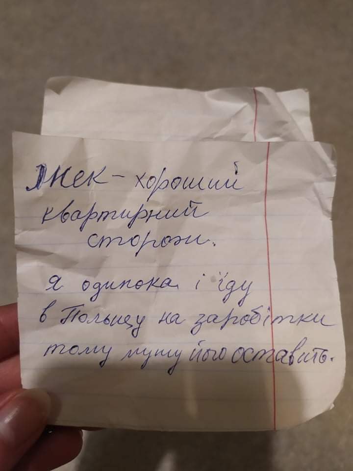 у Києві покинули собаку у Києві покинули собаку dqxikeidqxitkant