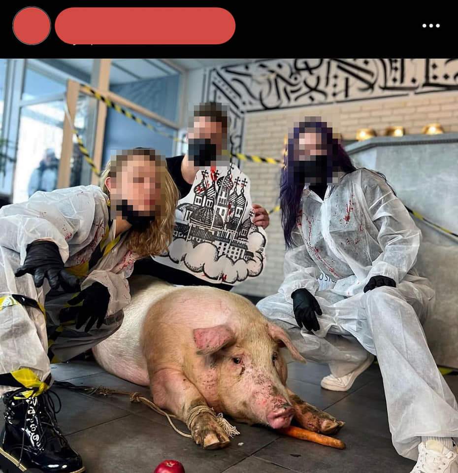 Скандал із тату для свині, тату-салон Tattoo Lamarch Studio dqxikeidqxitkant