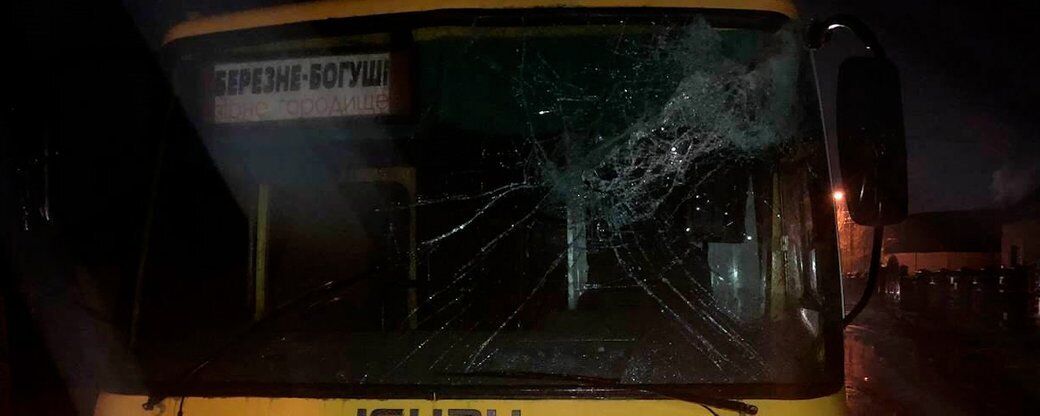 Бревно повредило лобовое стекло маршрутки dqxikeidqxitkant