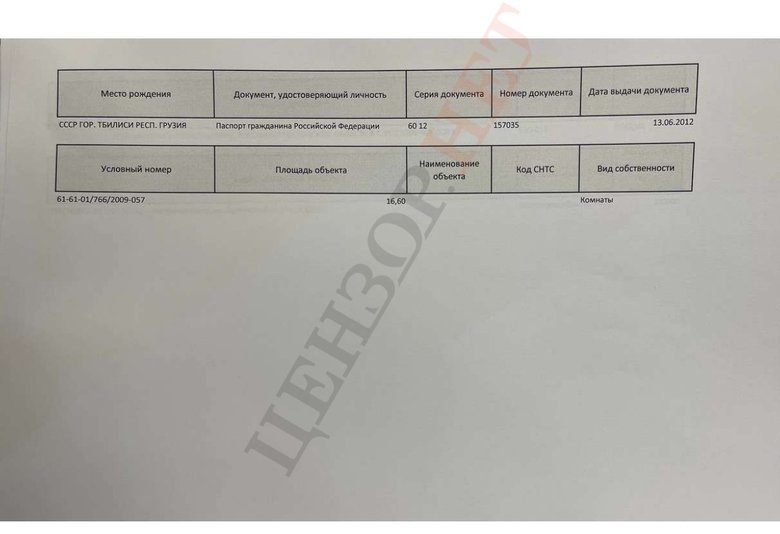 У замглавы МВД Гогилашвили российский паспорт и судимость в РФ 16