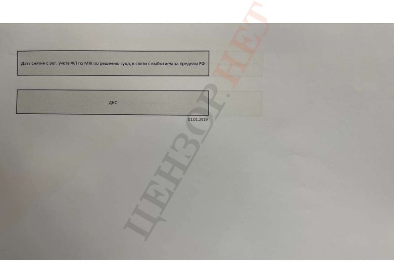 У замглавы МВД Гогилашвили российский паспорт и судимость в РФ 20