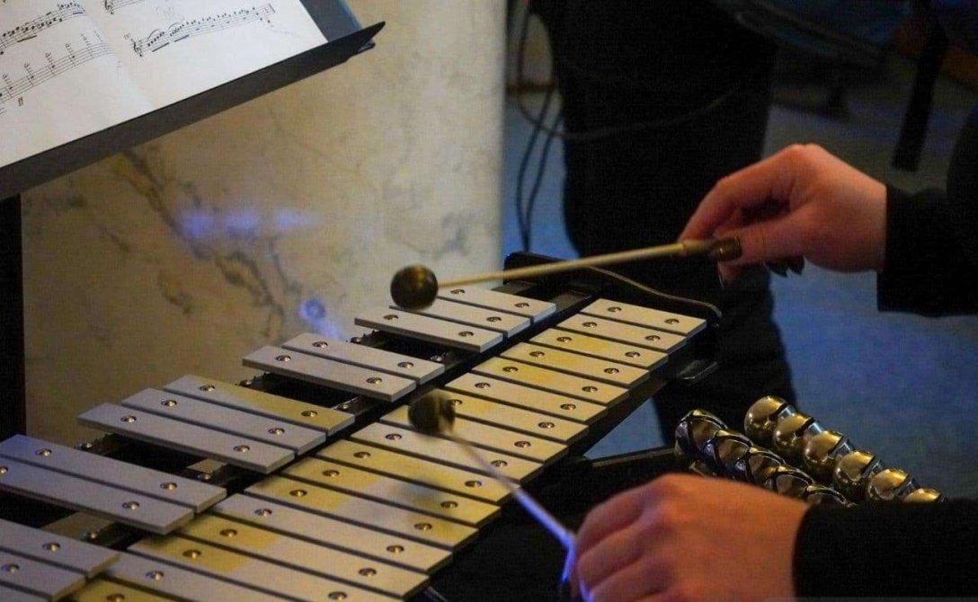 оркестр в раде, концерт в раде, симфонический оркестр dqxikeidqxitkant