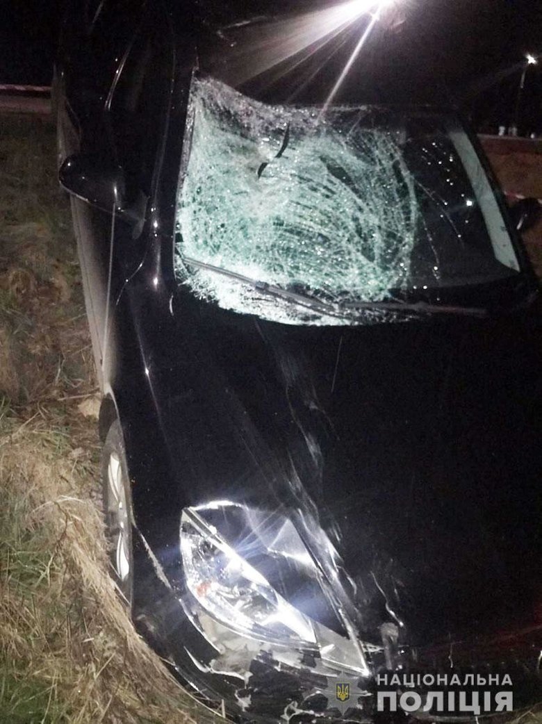 Депутат горсовета на Черниговщине насмерть сбил велосипедиста и пытался сбежать 02