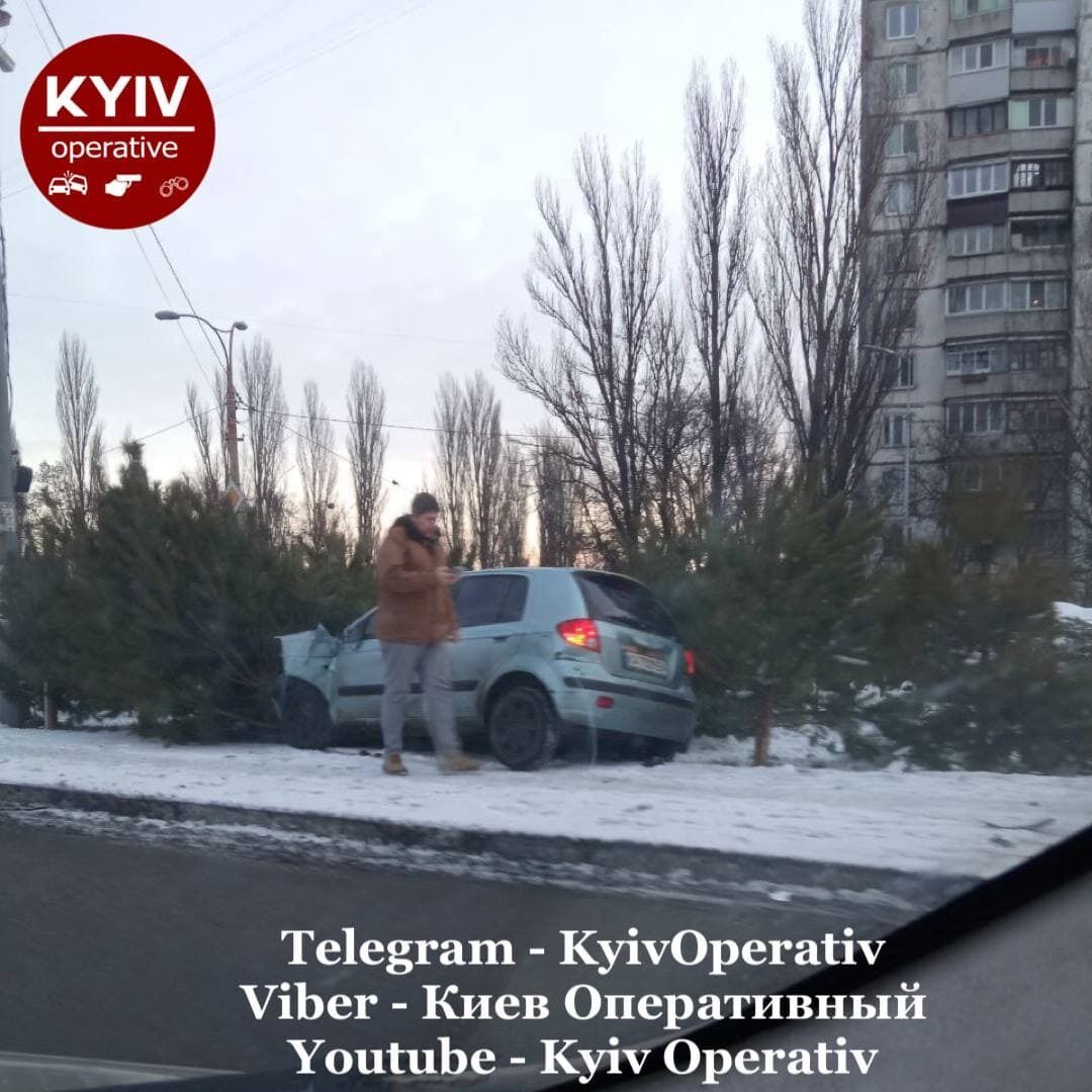 Легковушка въехала в елочный базар. dqxikeidqxiqqeant