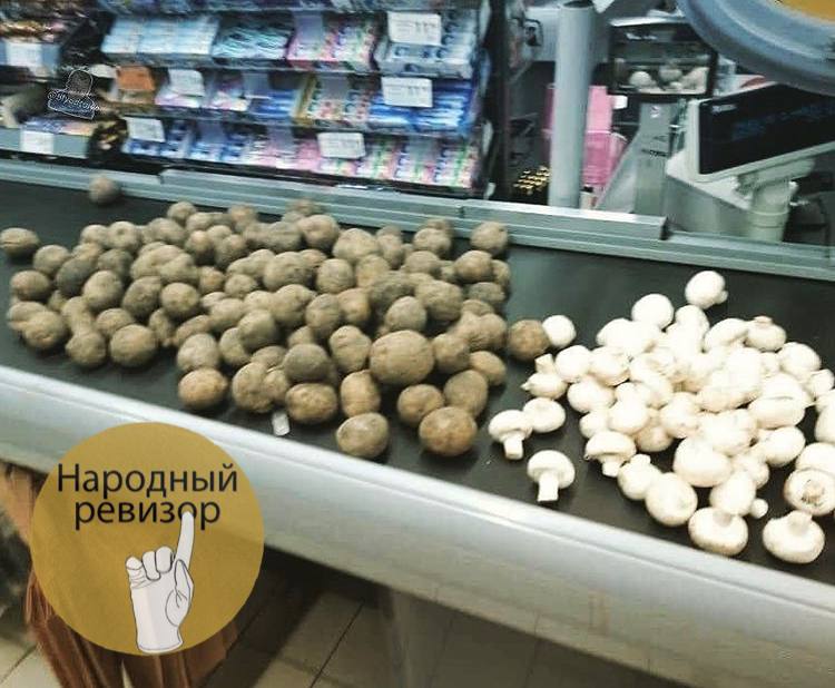 Без пакета dqxikeidqxiqqeant